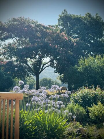 Jardin