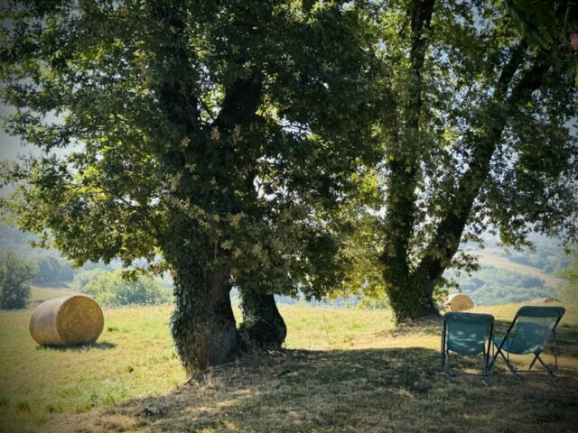 Jardin