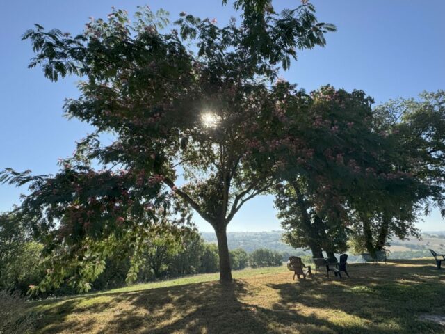 Jardin